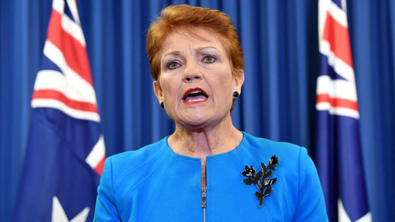 PAULINE HANSON ELECTION ANNOUNCEMENT