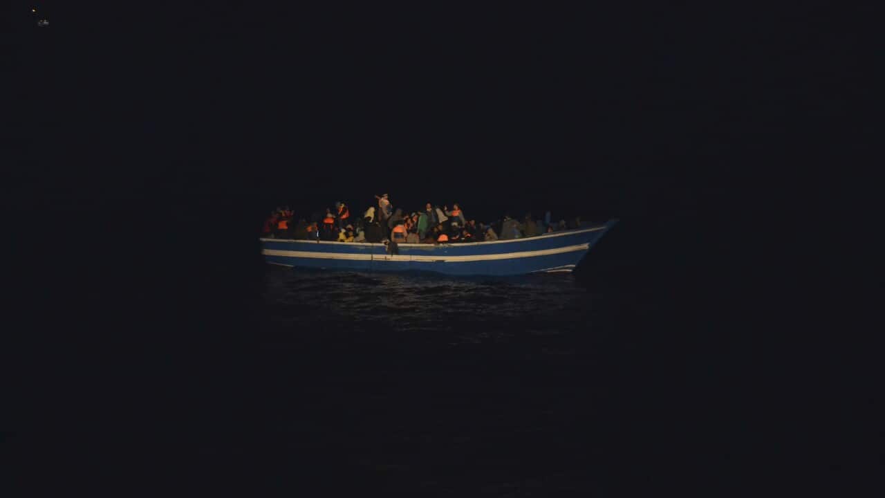 Nearly 800 migrants rescued off Italian coast