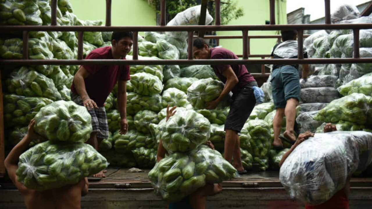 Vegatables to be shipped to Metro Manila