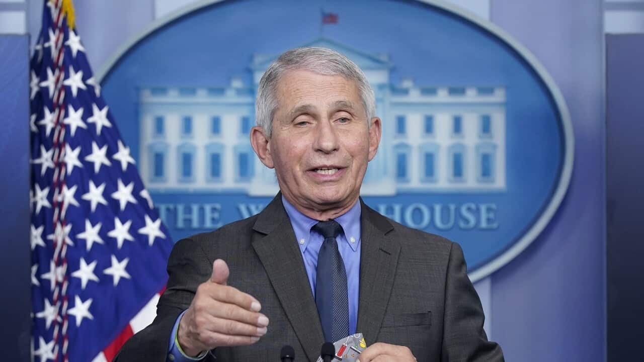 Dr. Anthony Fauci, director of the National Institute of Allergy and Infectious Diseases, speaks during a press briefing at the White House.