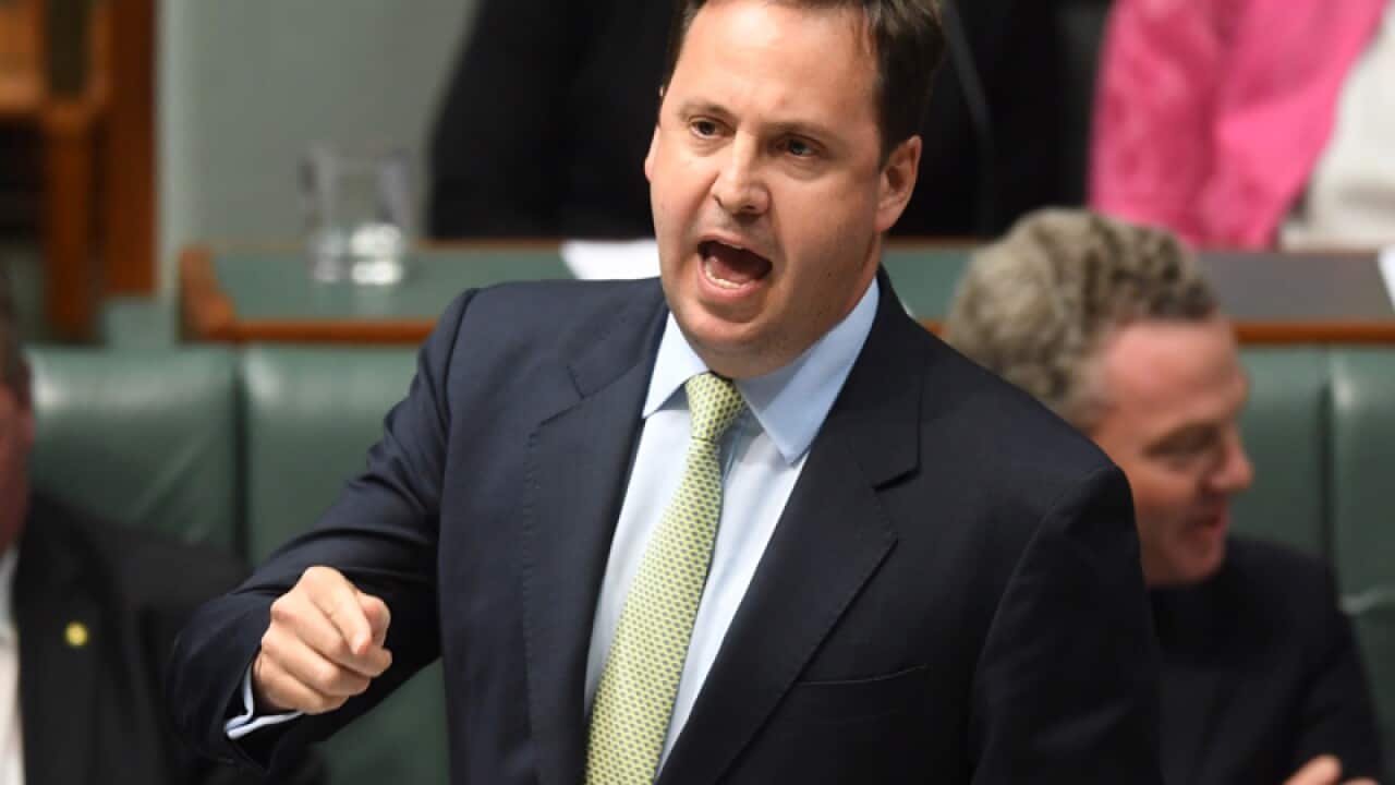 Australia's Trade Minister Steve Ciobo