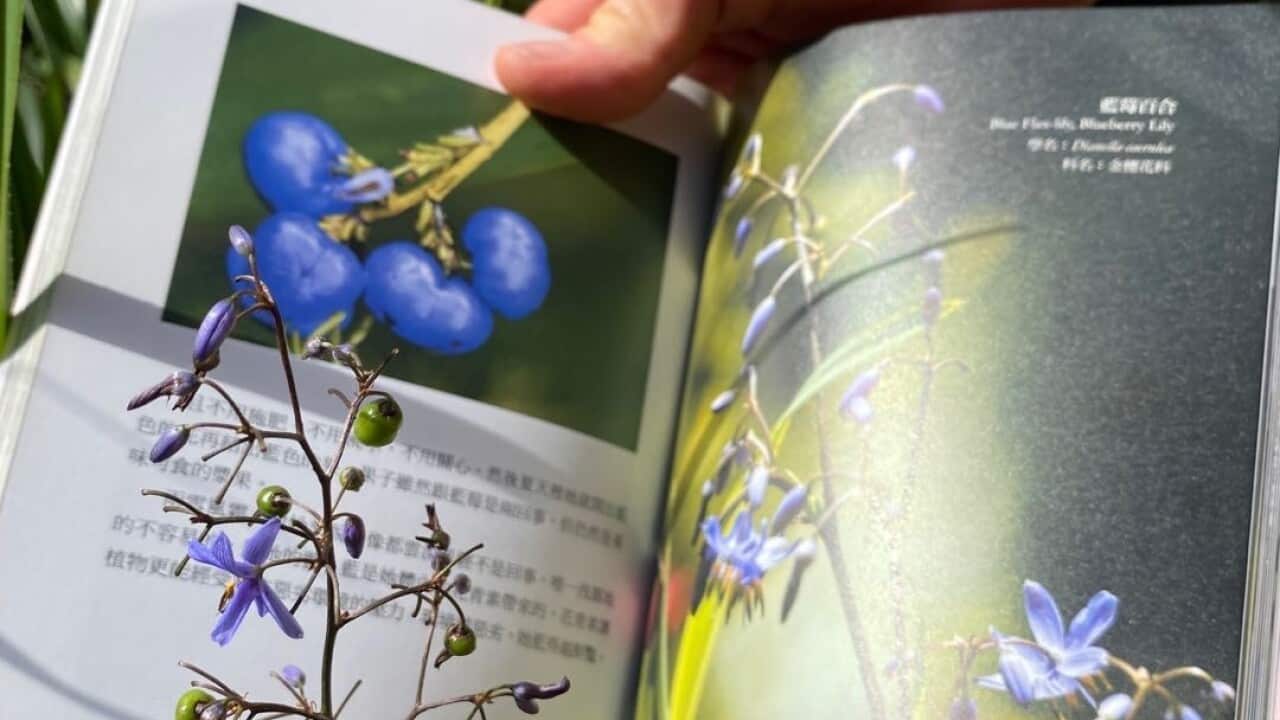 Image for read more article 'READ MORE'