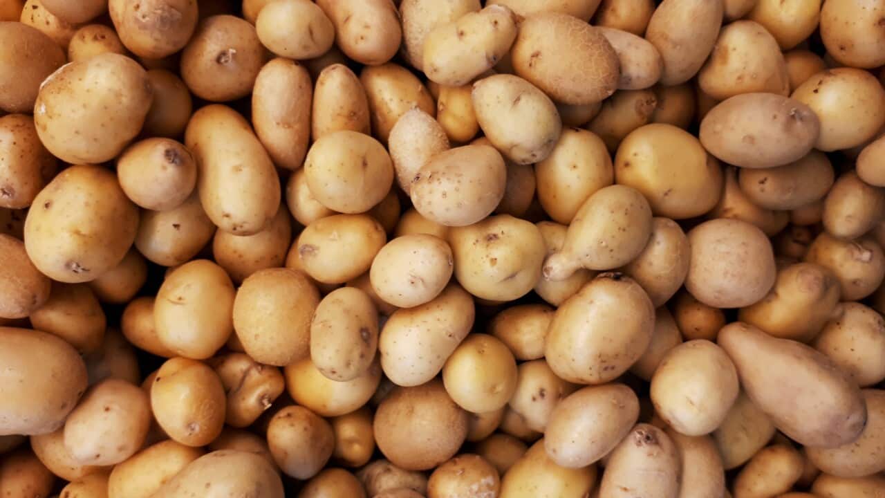 Potato pile