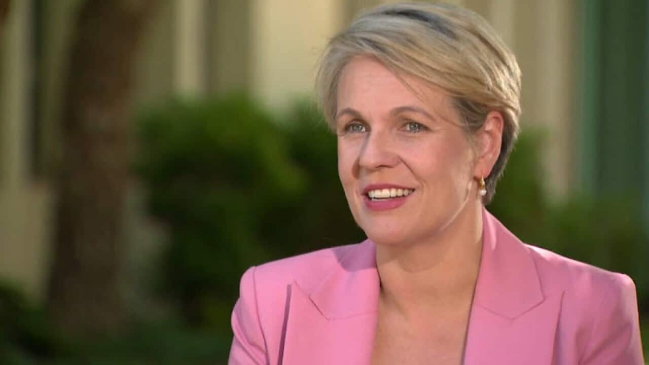 Tanya Plibersek speaks to SBS