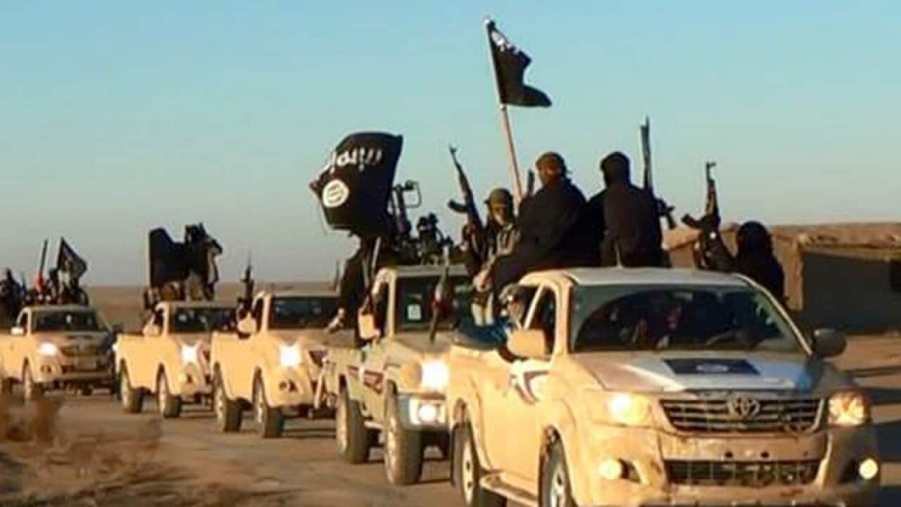 A convoy of vehicles and fighters from the Islamic State