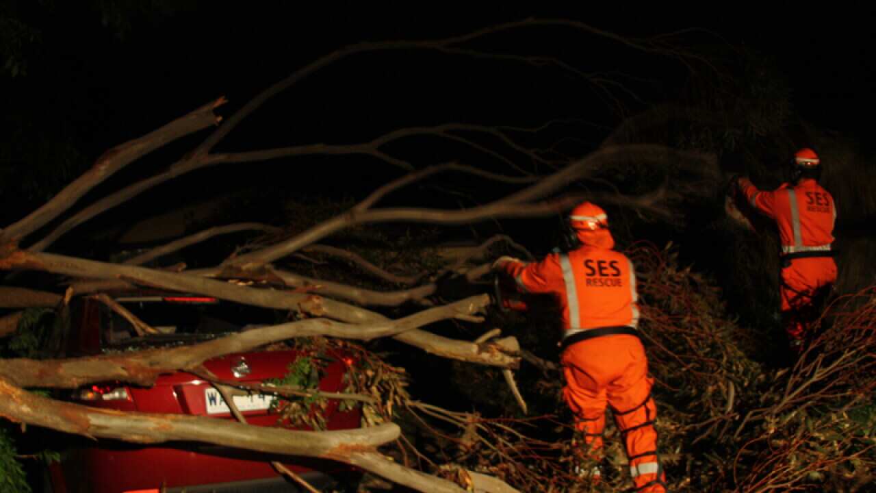 SES volunteers clearing fallen trees in Melbourne