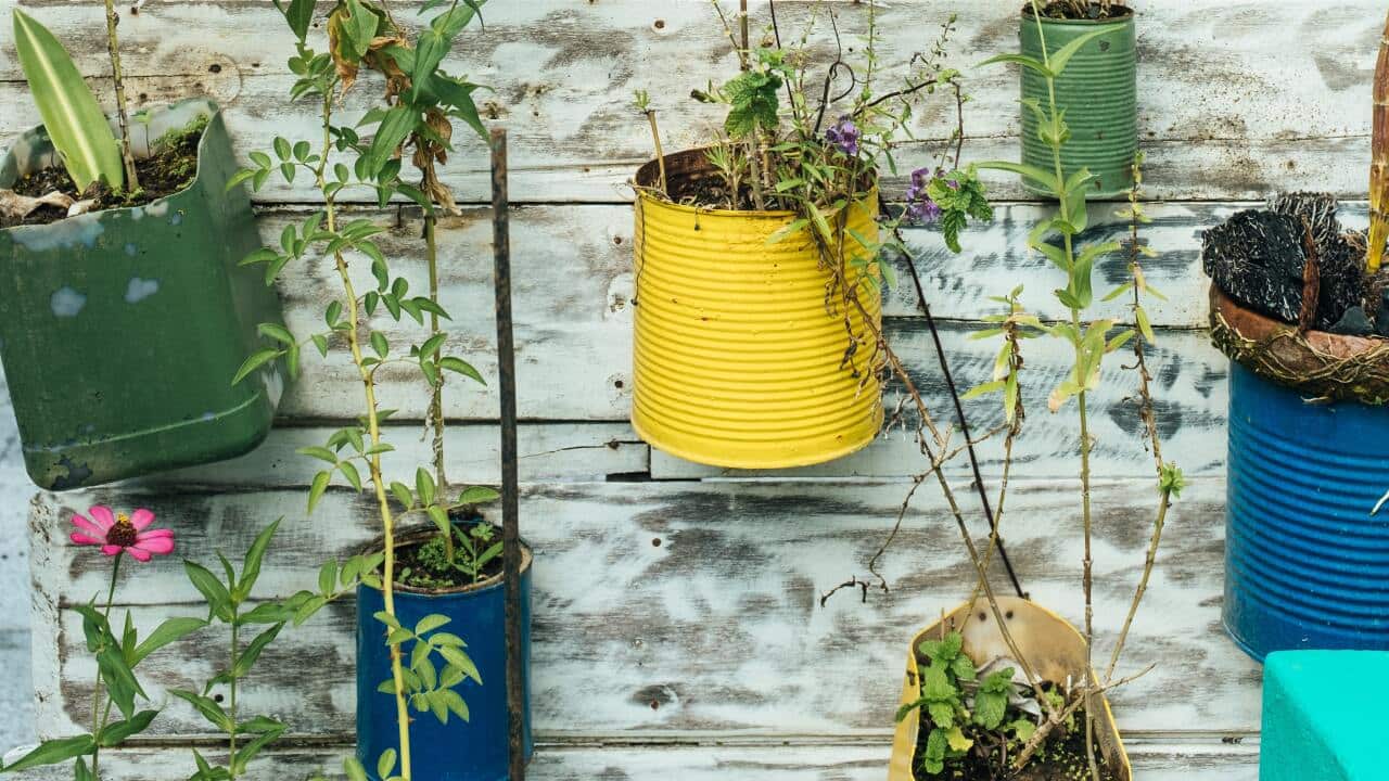 The cucina povera lifecycle in action