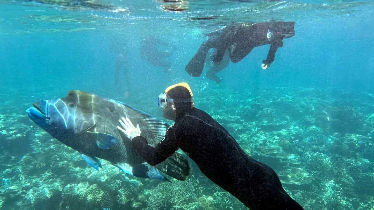 QUEENSLAND CAIRNS