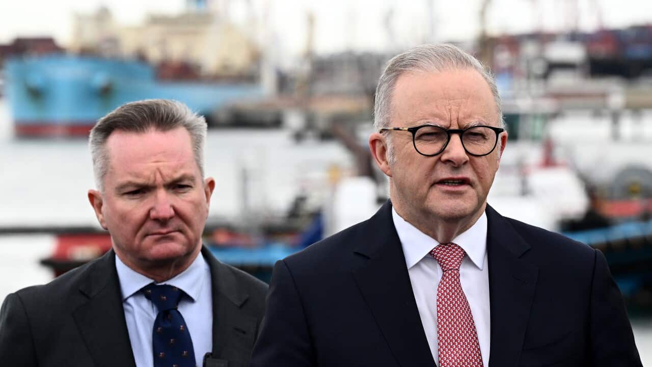 ANTHONY ALBANESE PORT BOTANY