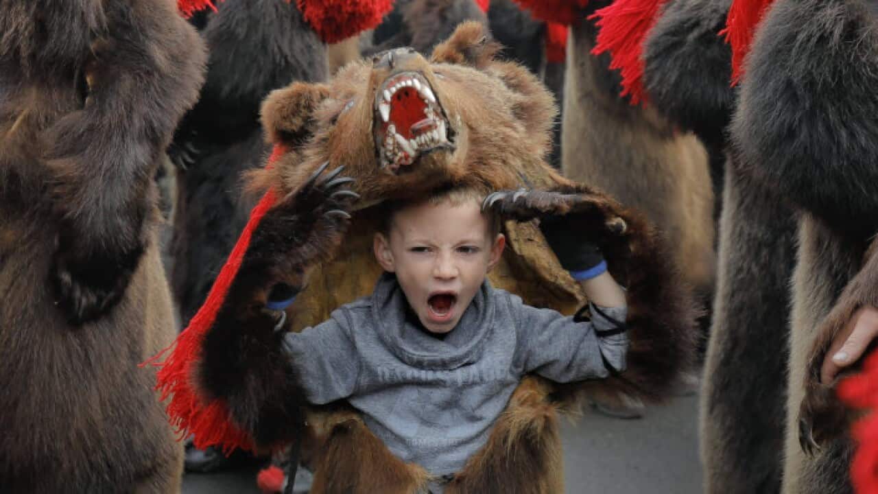 a child wearing a bear fur costume yawns while dancing in Comanesti, Romania.