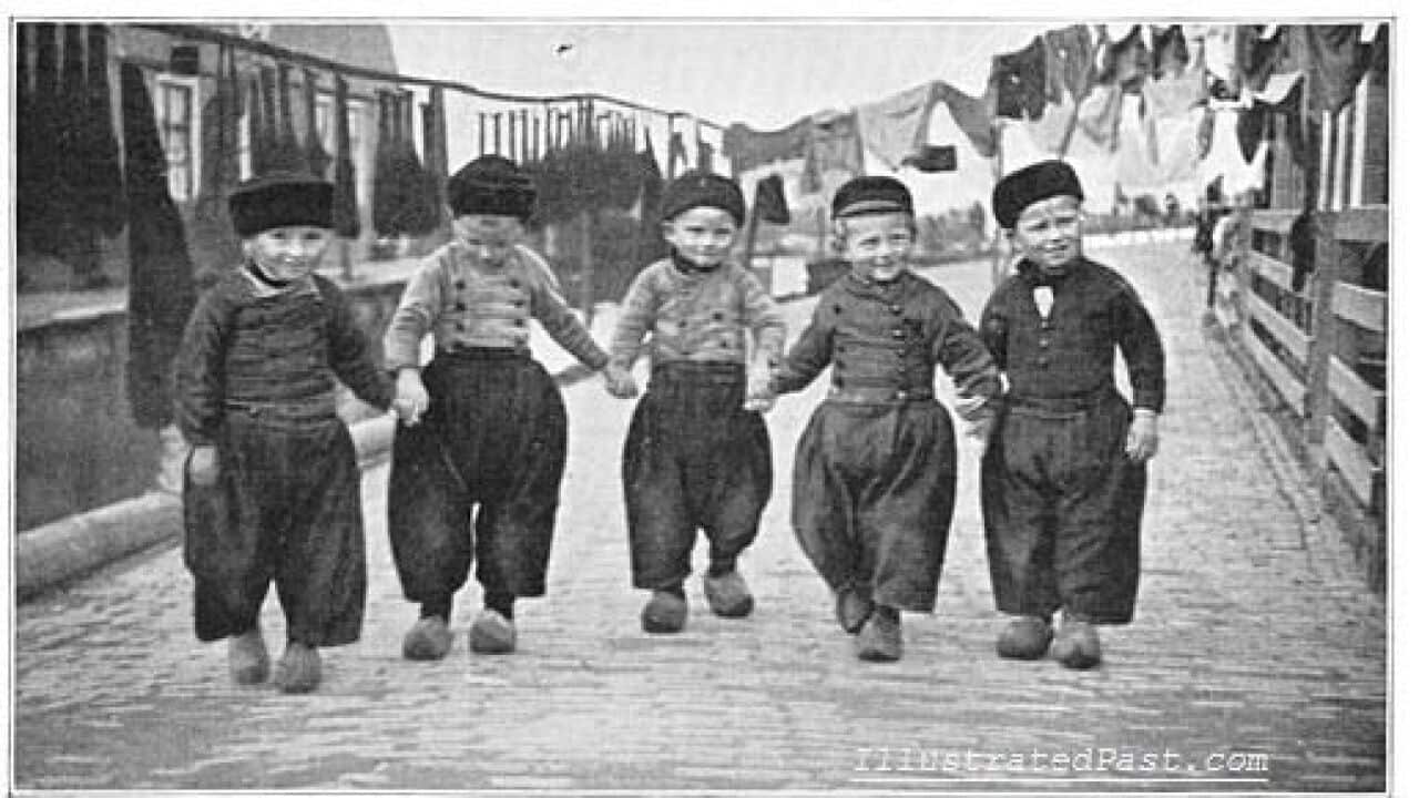 retaining and passing on language, nicoline van der sijs. meertens instituut