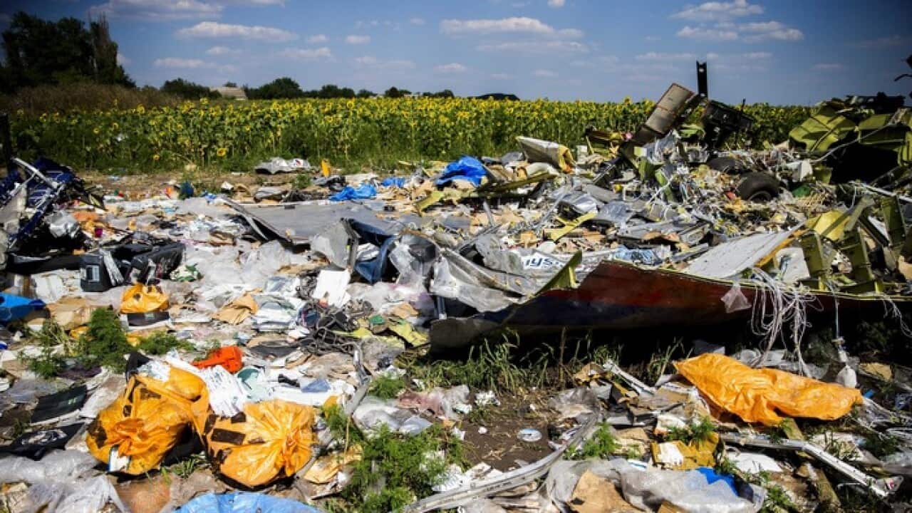 MH 17 Wreckage