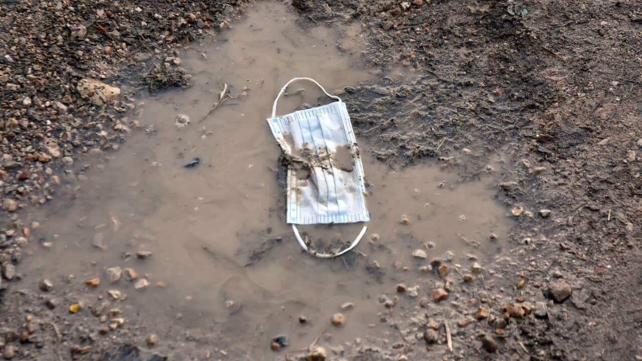 Another discarded COVID face mask