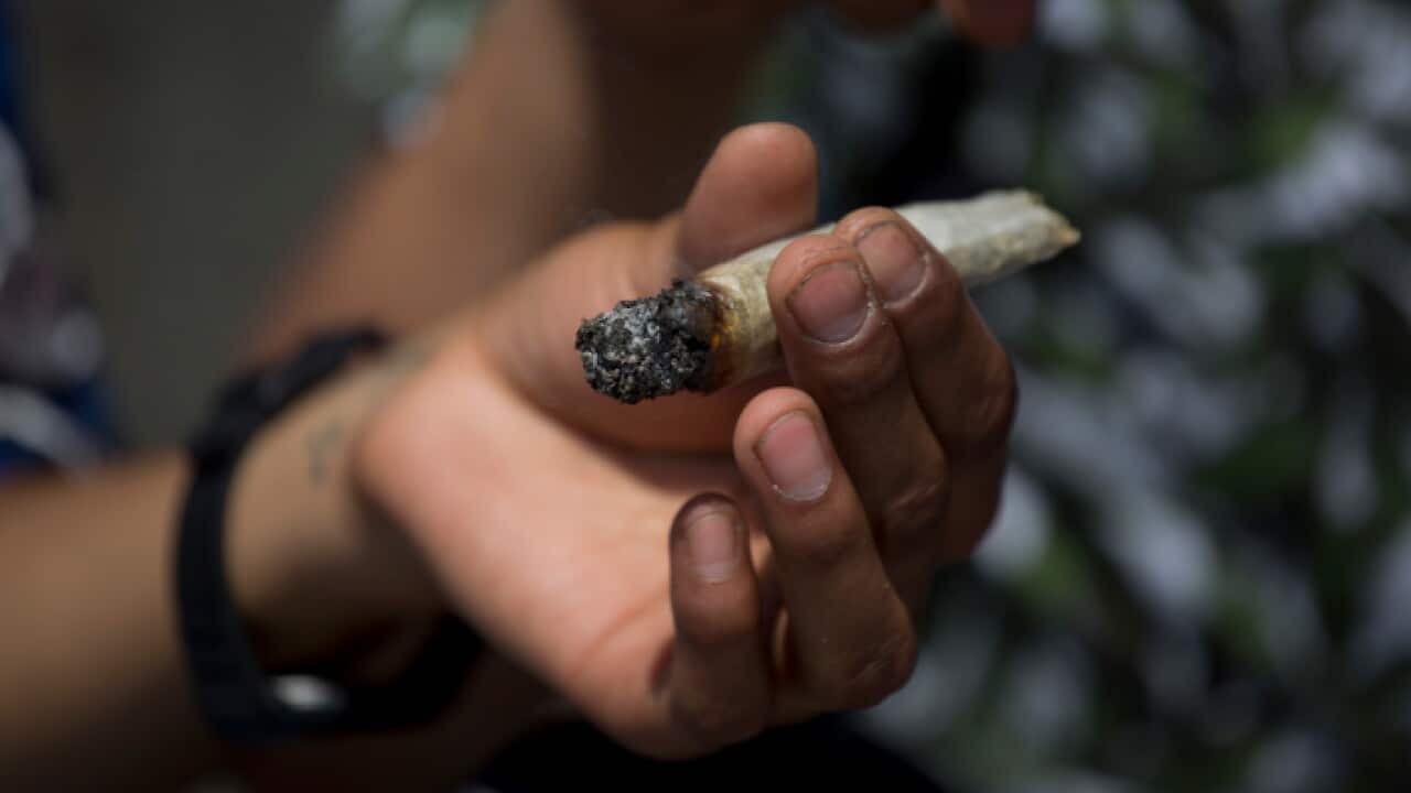 Cannabis International Day in Mexico City