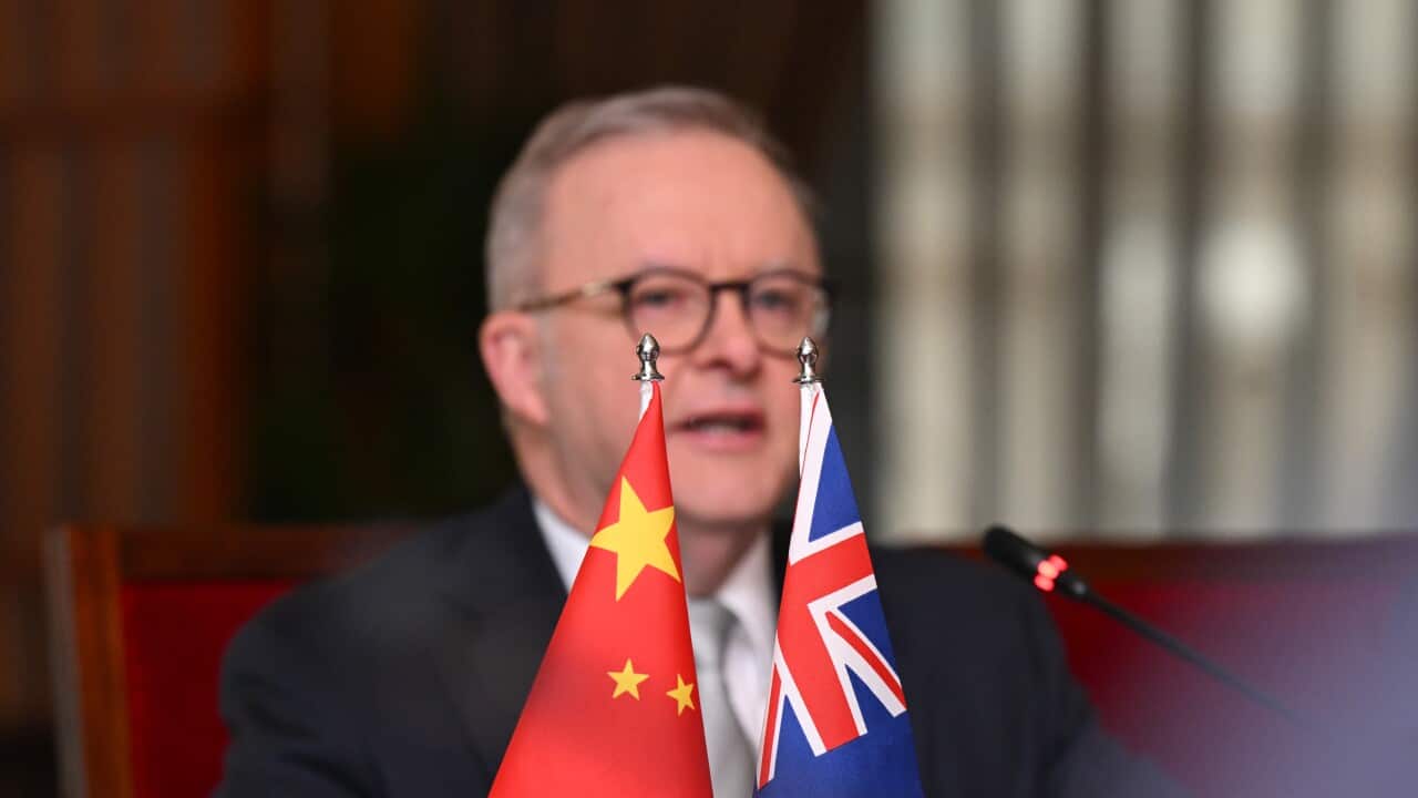ANTHONY ALBANESE CHINA VISIT