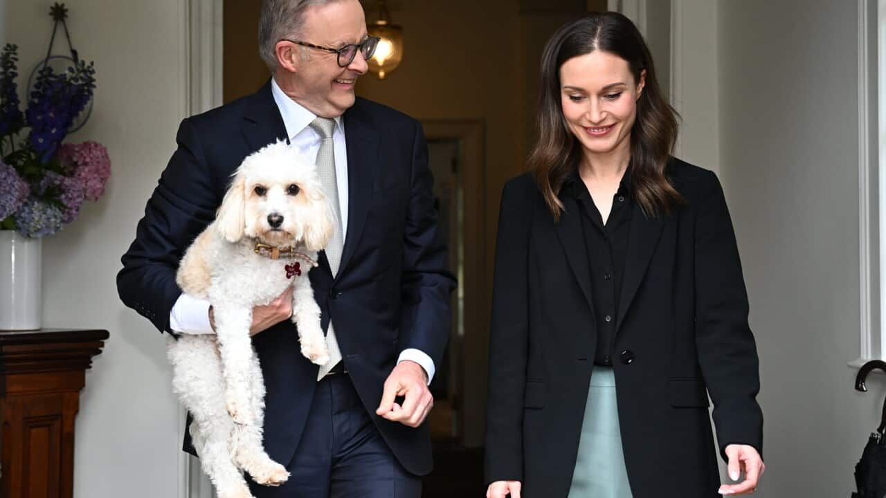 Anthony Albanese hold his dog Toto and walks with Sanna Marin (AAP).jpg
