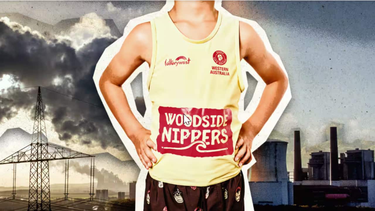 Woodside Energy's partnership.png