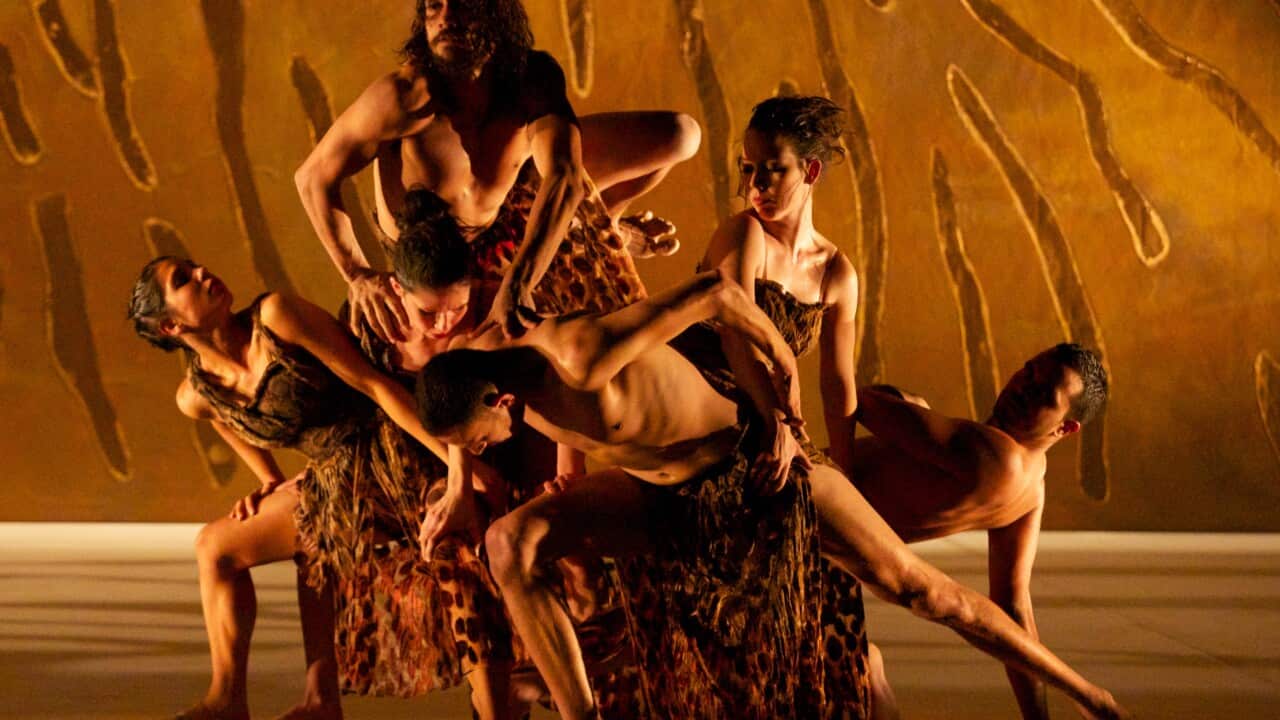 Bangarra Terrain performance
