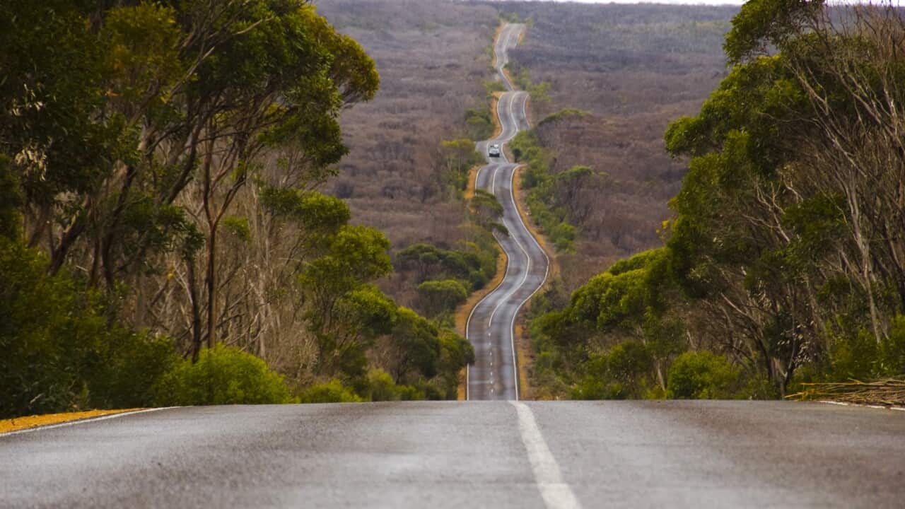 Long Winding Road on Kangaroo Island