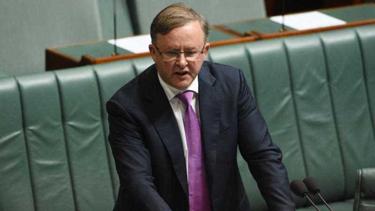 Anthony Albanese