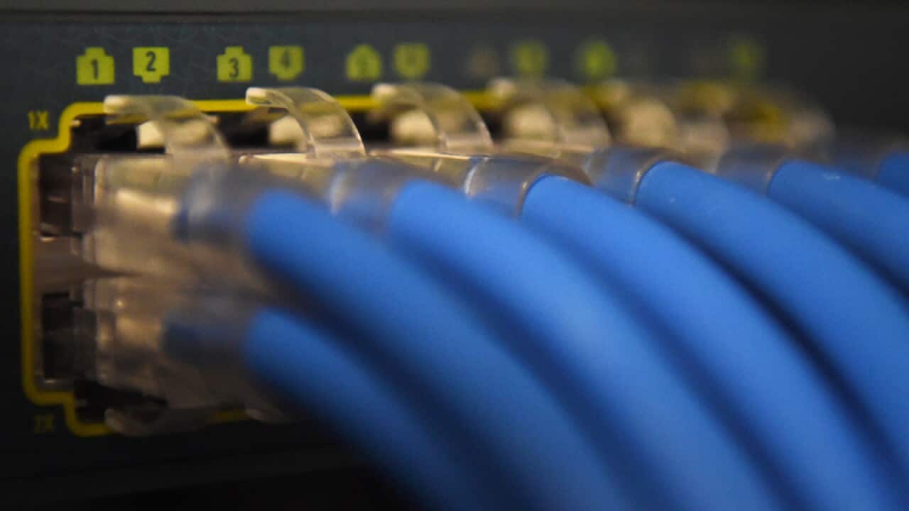 Ethernet data cables are seen in a server room in Canberra