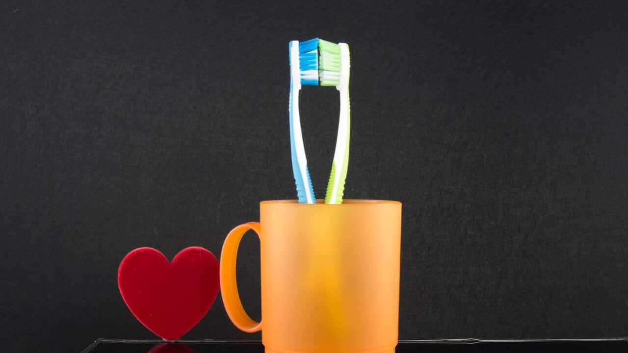two colourful soft toothbrushes in orange cup