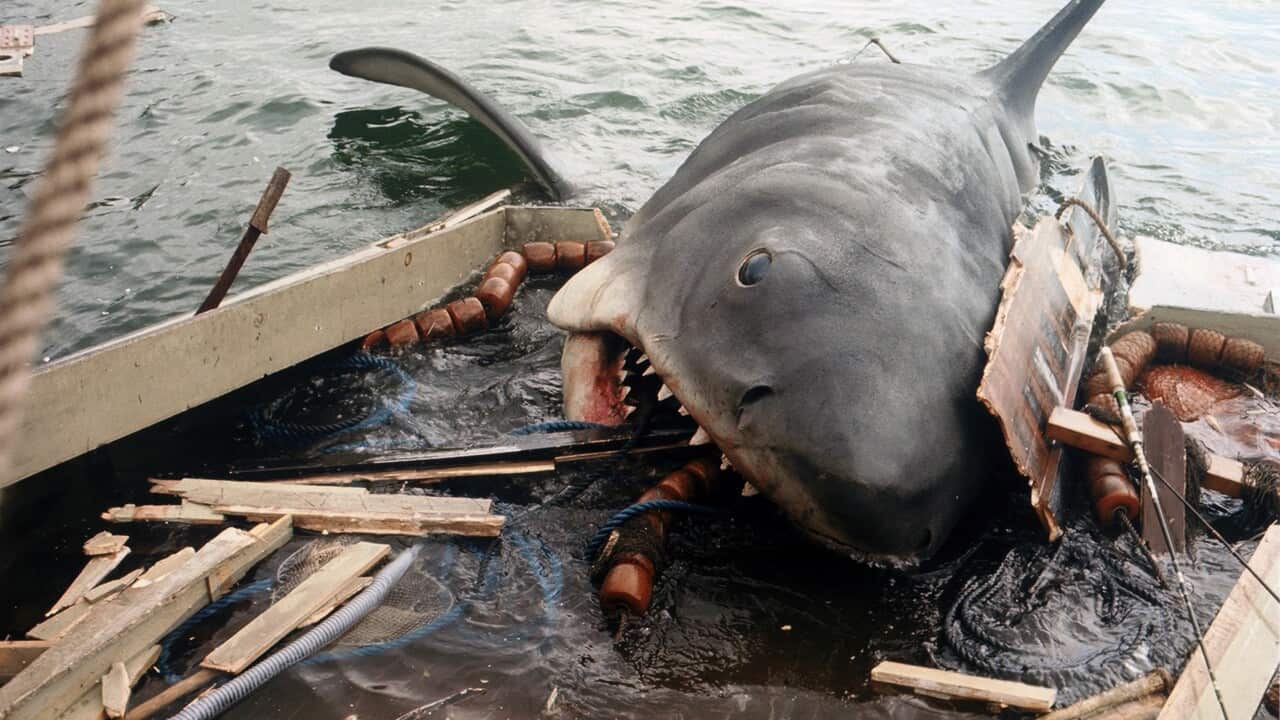 A scene featuring a Shark from the movie, Jaws.