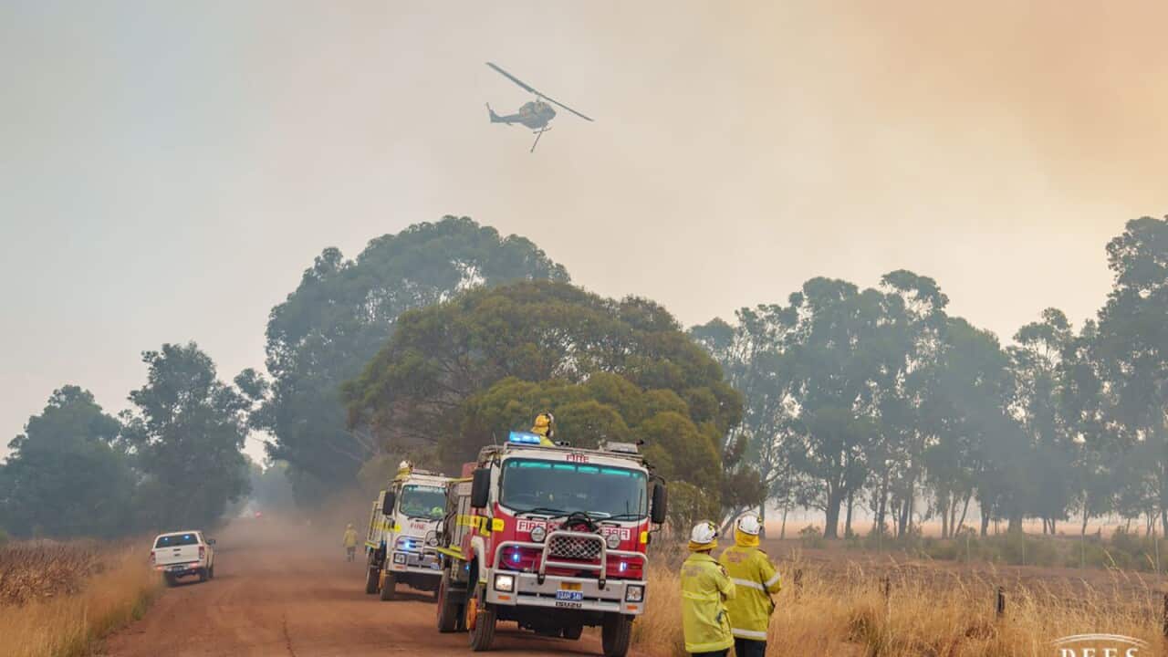 BUSHFIRES WA