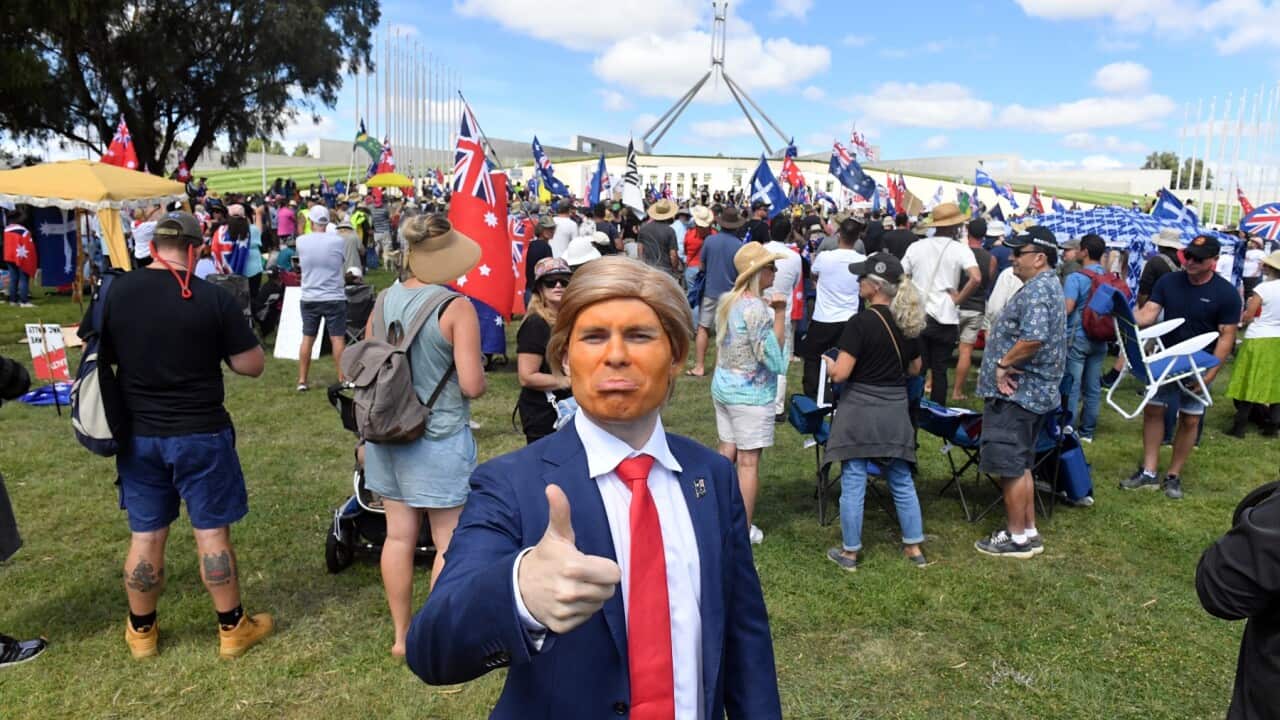 Convoy to Canberra protester dressed as Donald Trump during a protest outside Parliament House in Canberra