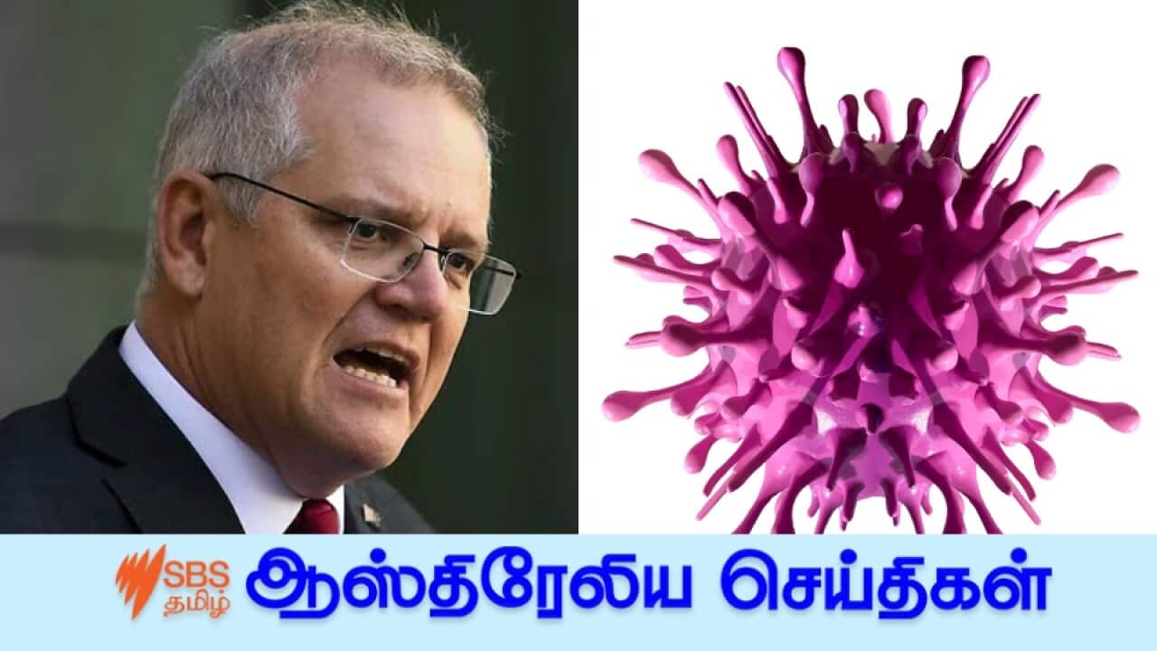 Prime Minister & COVID