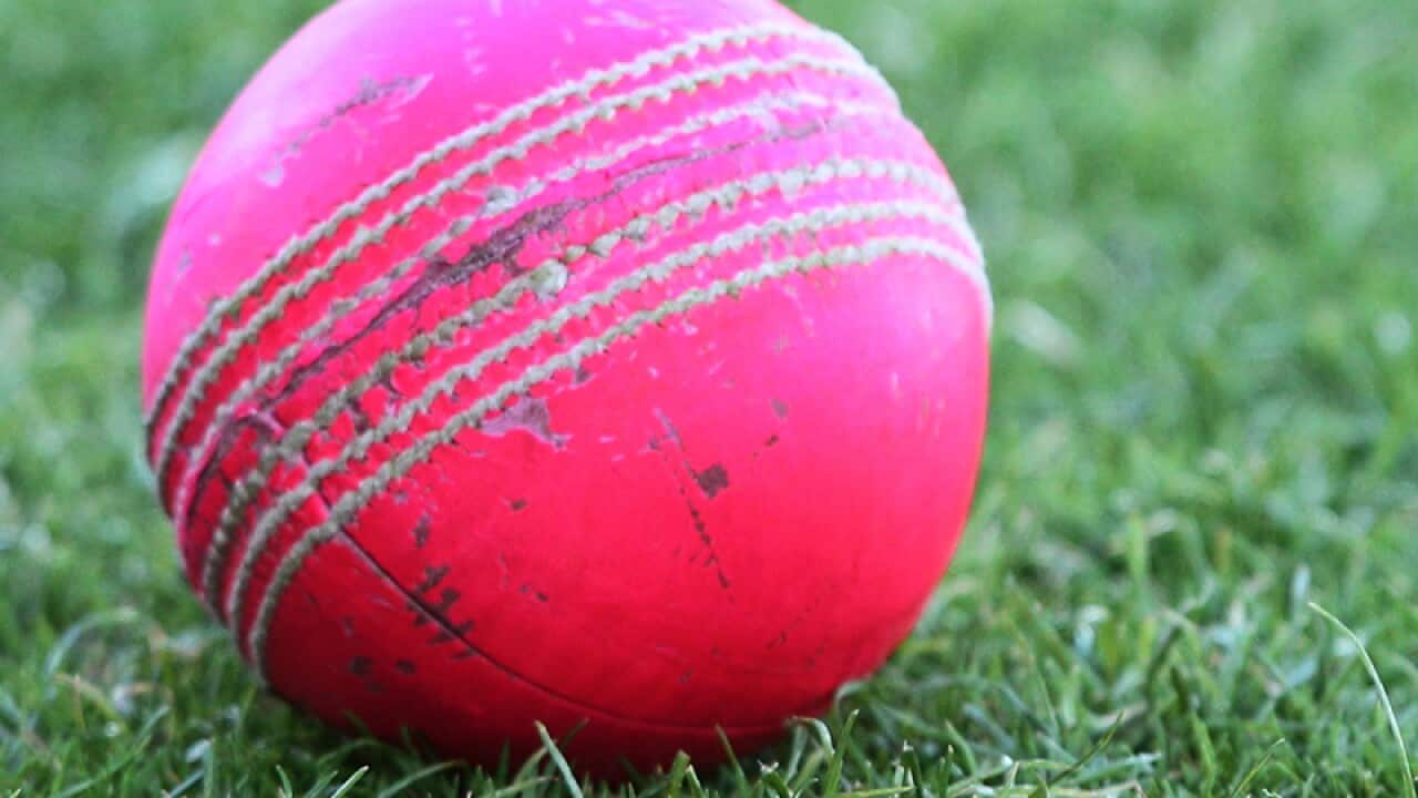 A pink cricket ball