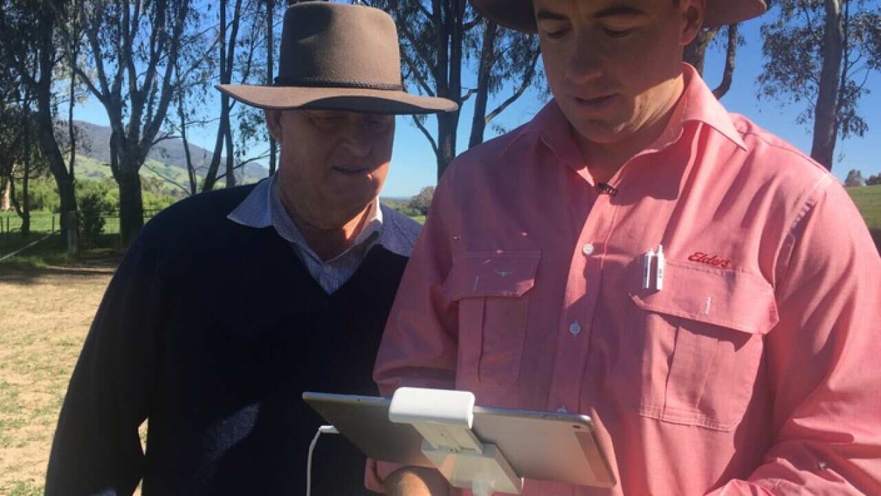 Cattle breeder Barry Hicks and agent Brett Shea