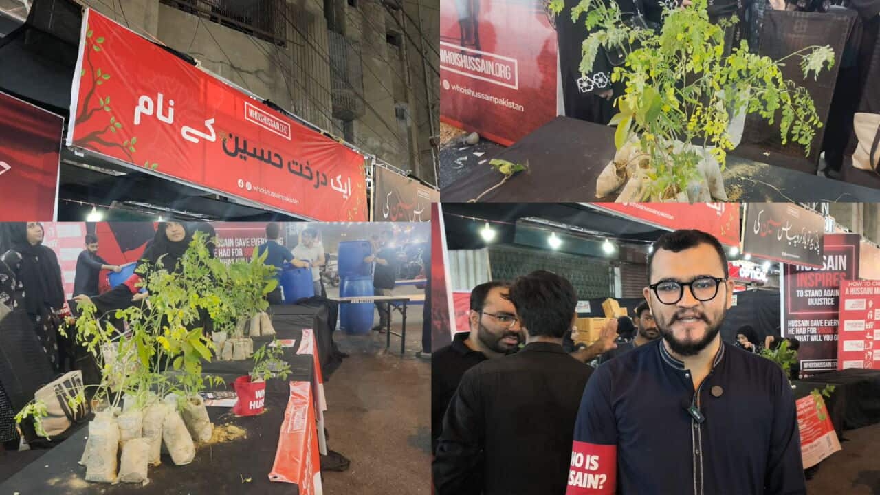 Sabeel with plant
