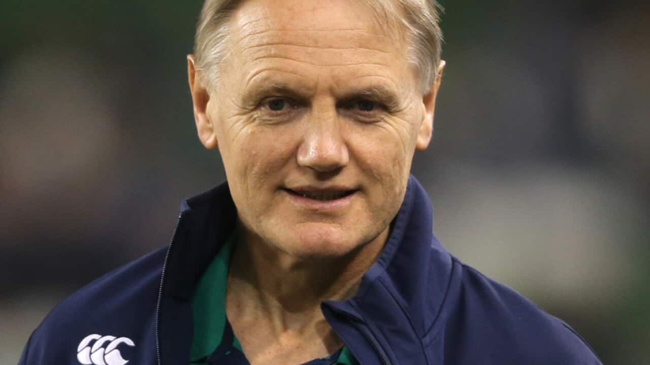 Ireland head coach Joe Schmidt