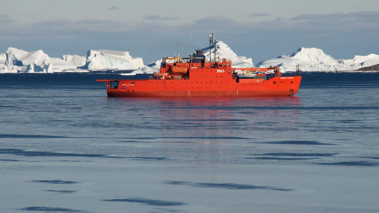 Australia's icebreaker Aurora Australishas broken through.