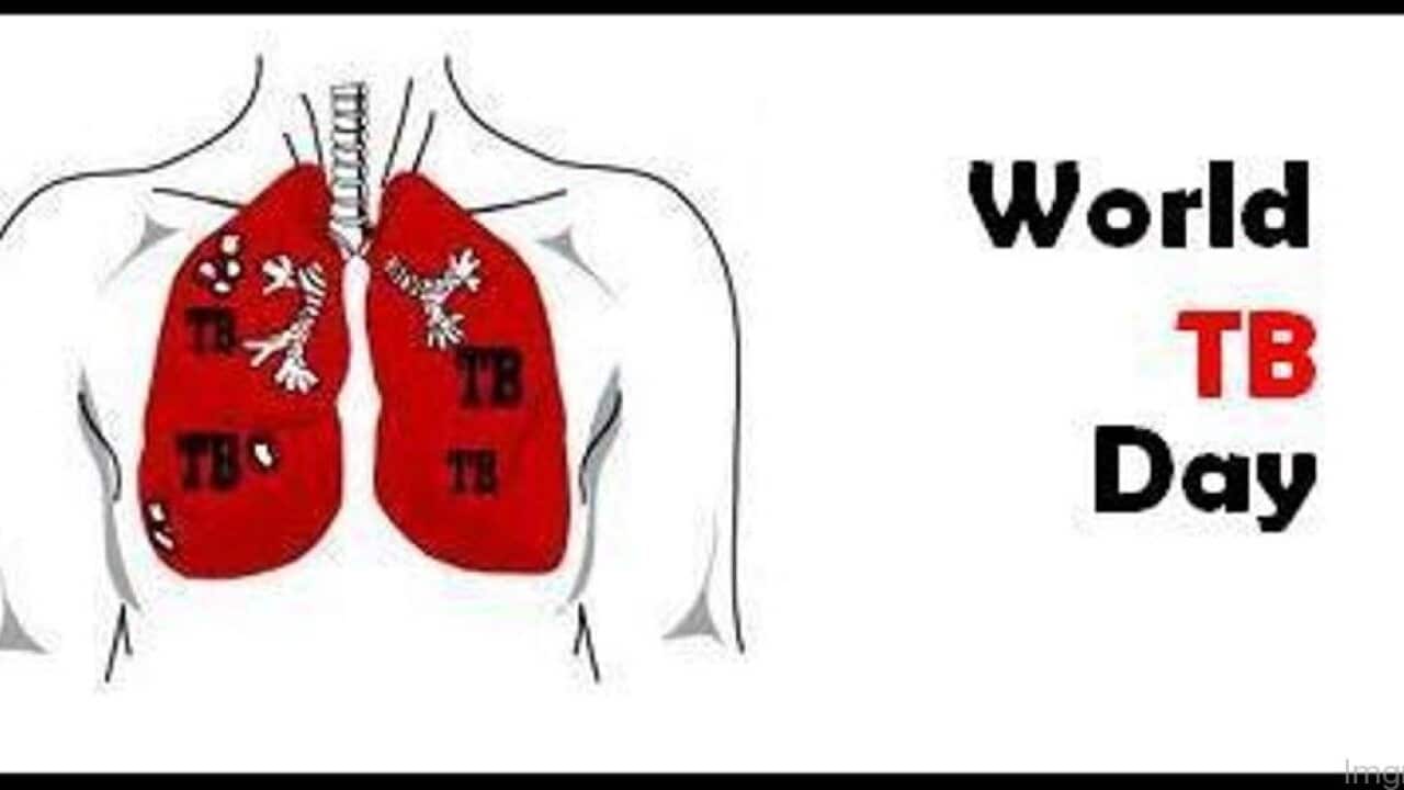 World TB day