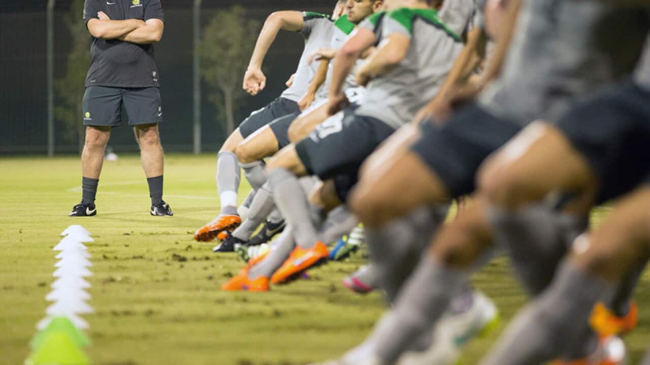 Socceroos coach Ange Postecoglou