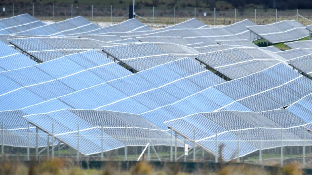 A solar farm.