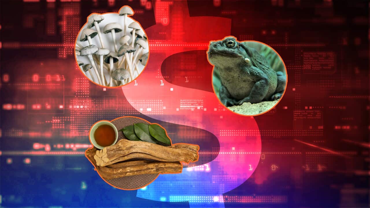 Image for read more article 'READ MORE'