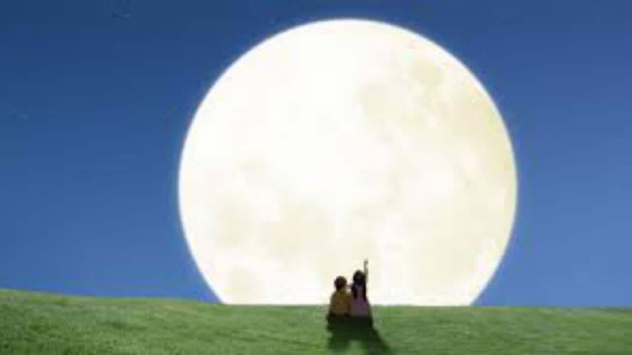 Image for read more article ''