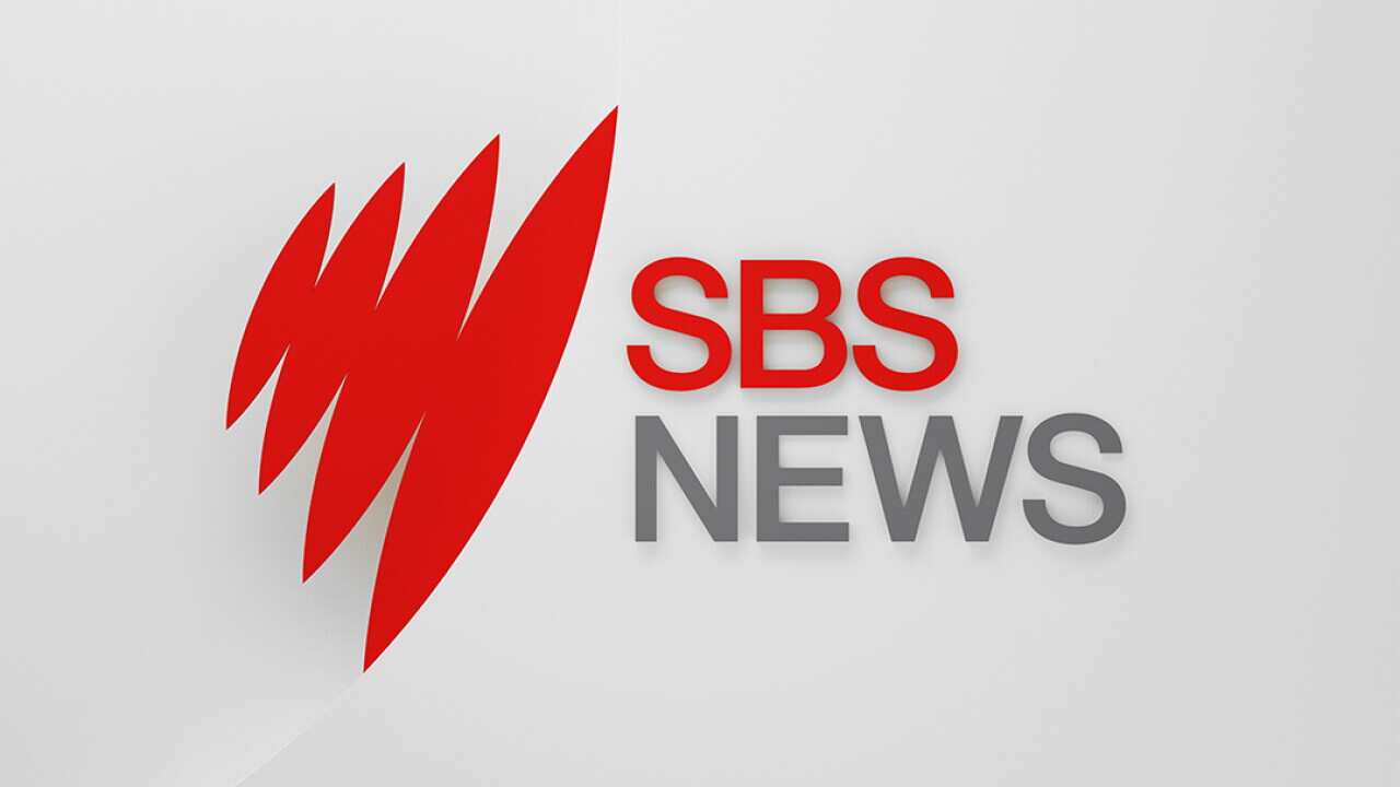 SBS News logo