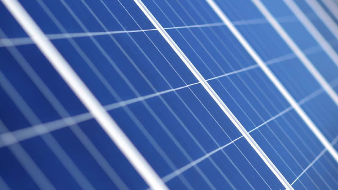 Solar panels are seen at Royalla Solar Farm