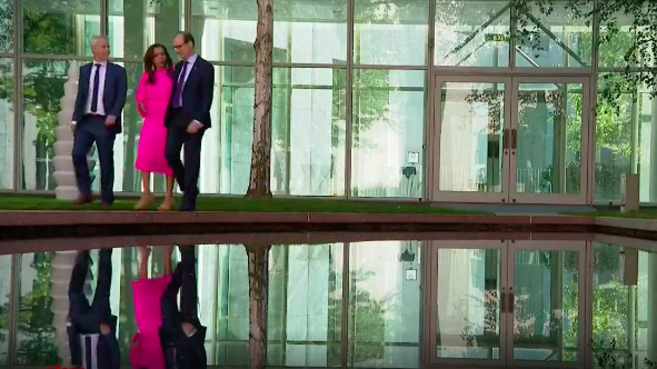 Labor's Raff Ciccone, Anne Aly and Andrew Giles are on the party's new multicultural affairs caucus committee. 