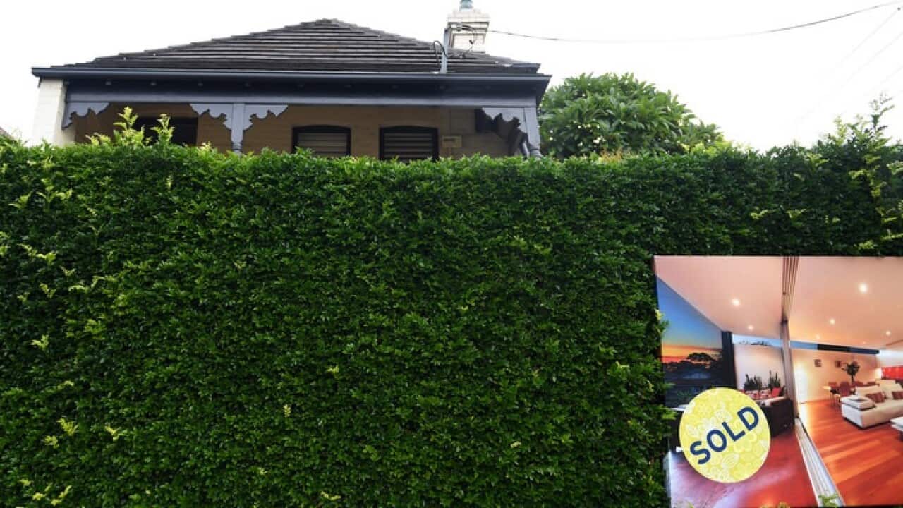 A for sale sign is displayed in front of a house in Sydney