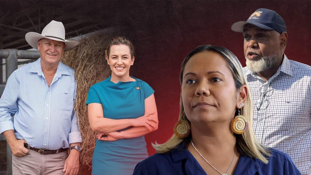 NT ADMINISTRATOR CALLS FOR DISMISSAL web hero.jpg