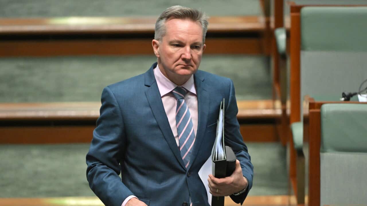 Climate change minister Chris Bowen in parliament wearing a navy suit and carrying a folder and glass of water