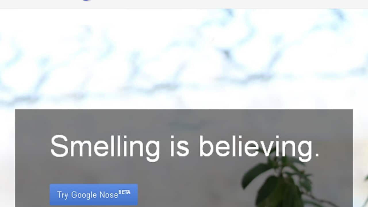 google nose 2_575398462