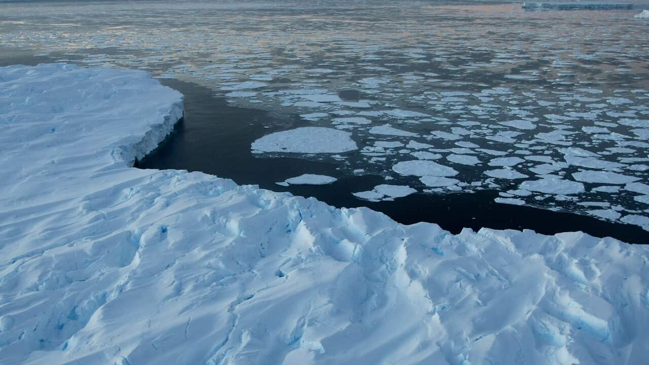 File photo of giant tabular icebergs surrounded by ice floe adrift in Vincennes Bay in the Australian Antarctic Territory. (AAP Image/POOL/AFP, Torsten Blackwood, File)