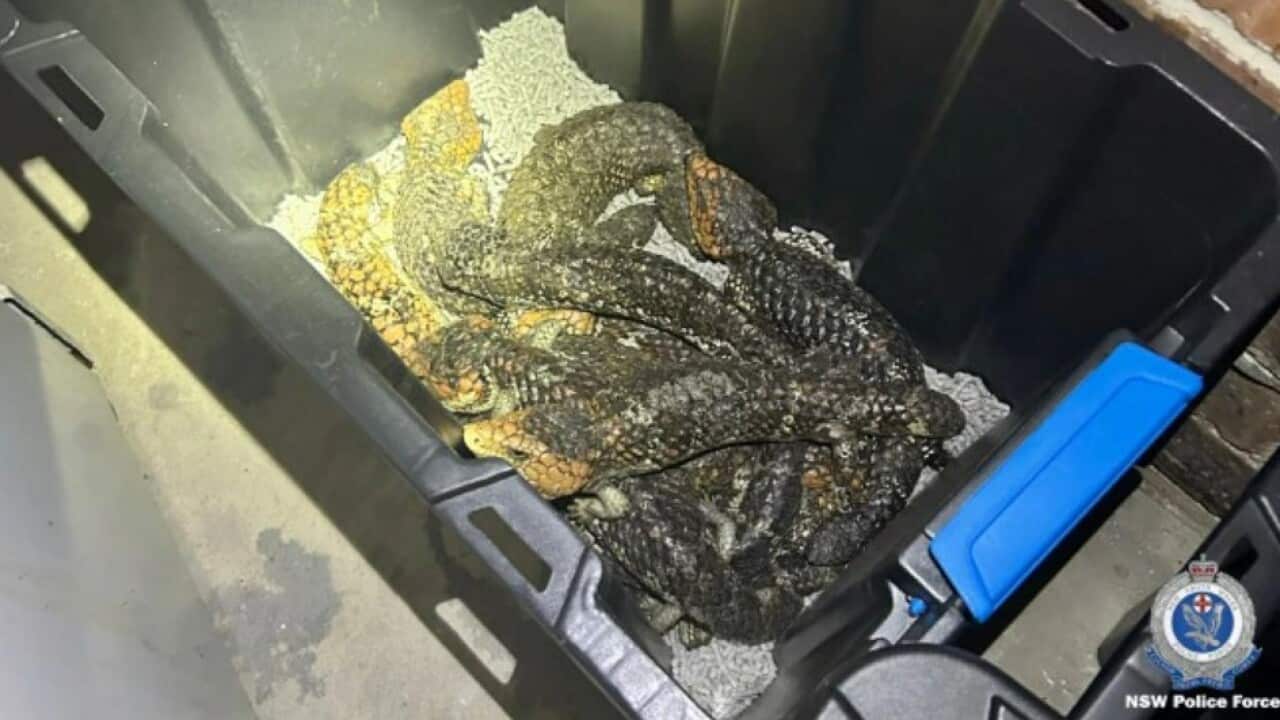 Image for read more article ''