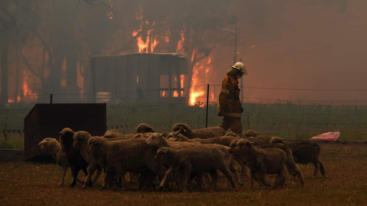 Rural Fire Service (RFS) crews engage in property protection of a number of homes near the town of Tahmoor.